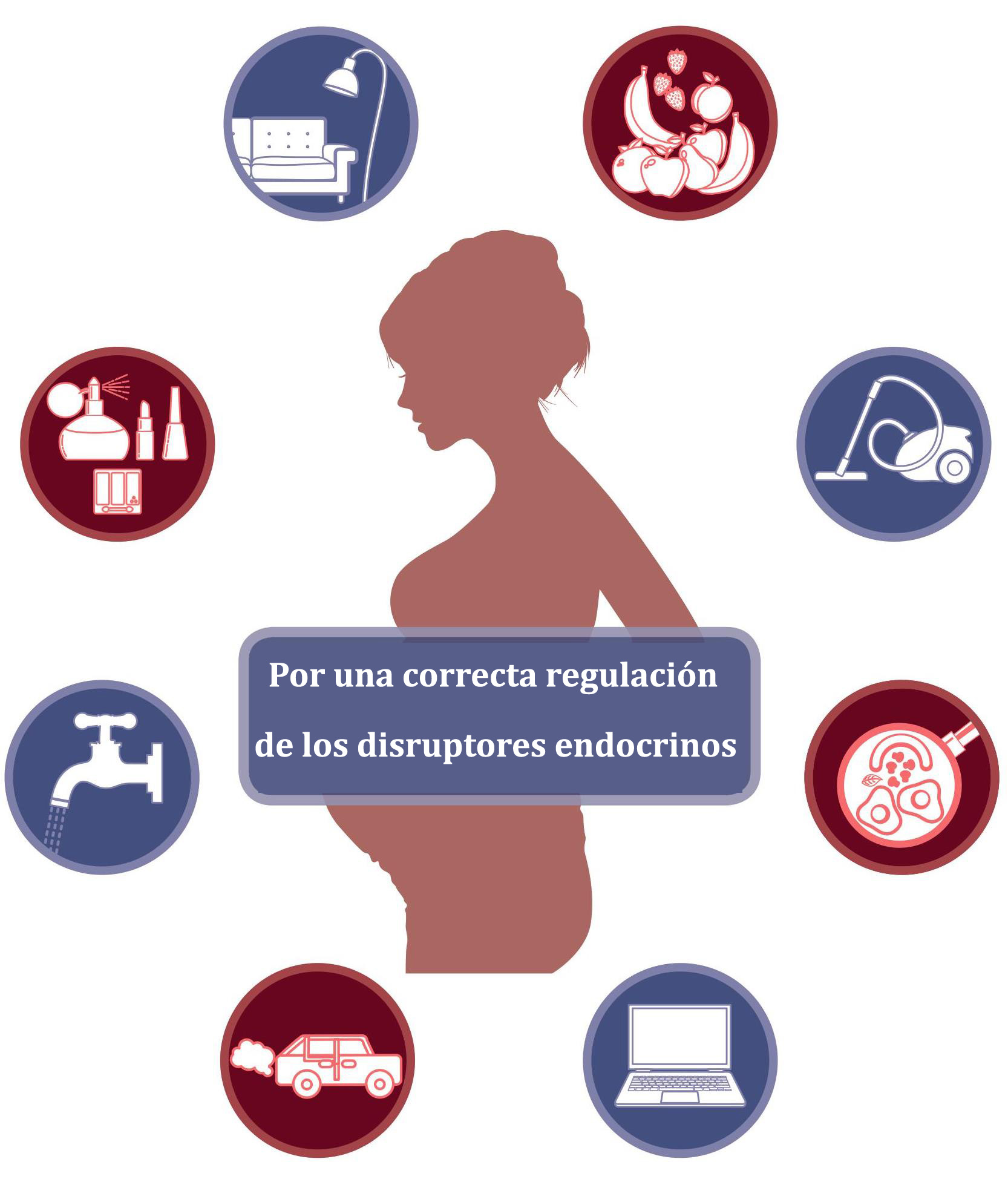 regulación disruptores endocrinos