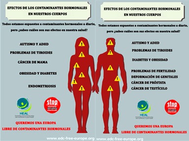 efectos disruptores endocrinos