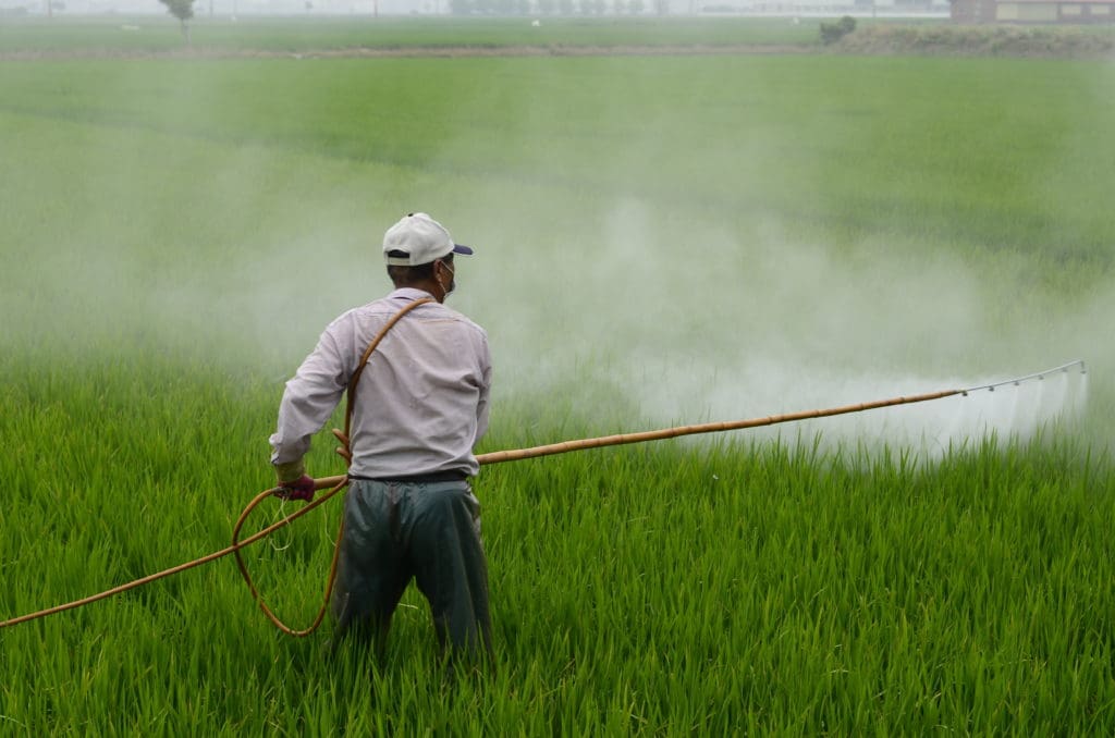 aumento envenenamiento con pesticidas