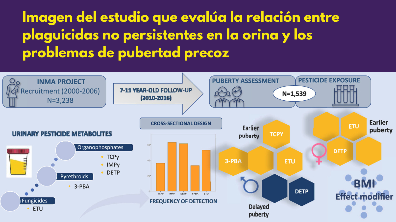 insecticida en el 60% de niños y niñas 