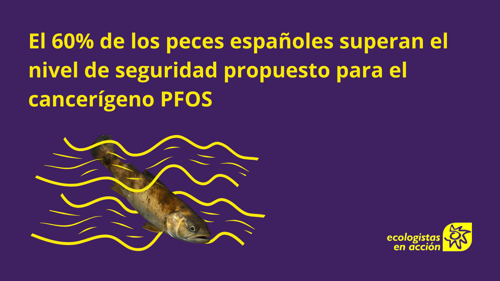 actualización