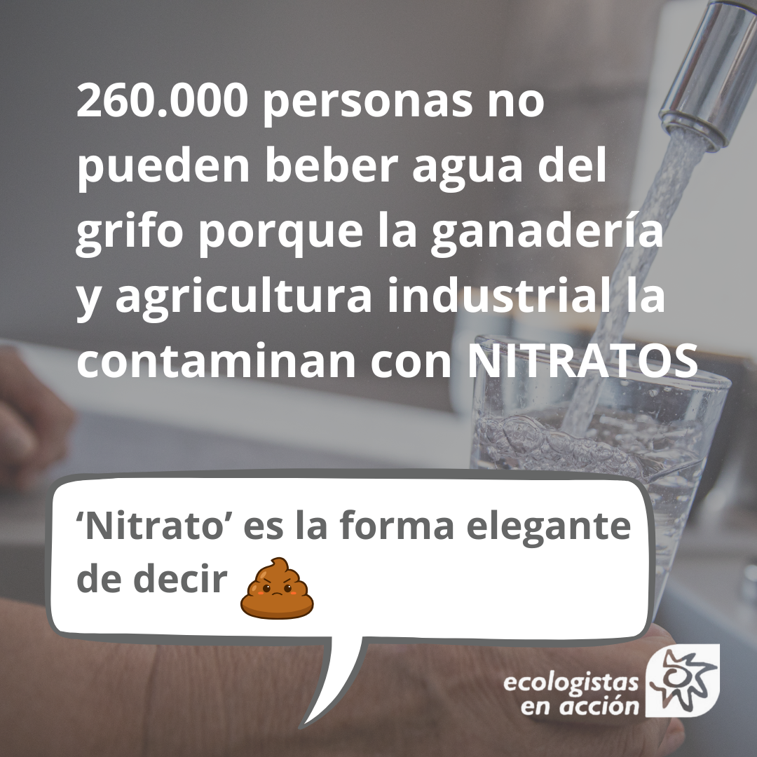 bebiendo mierda