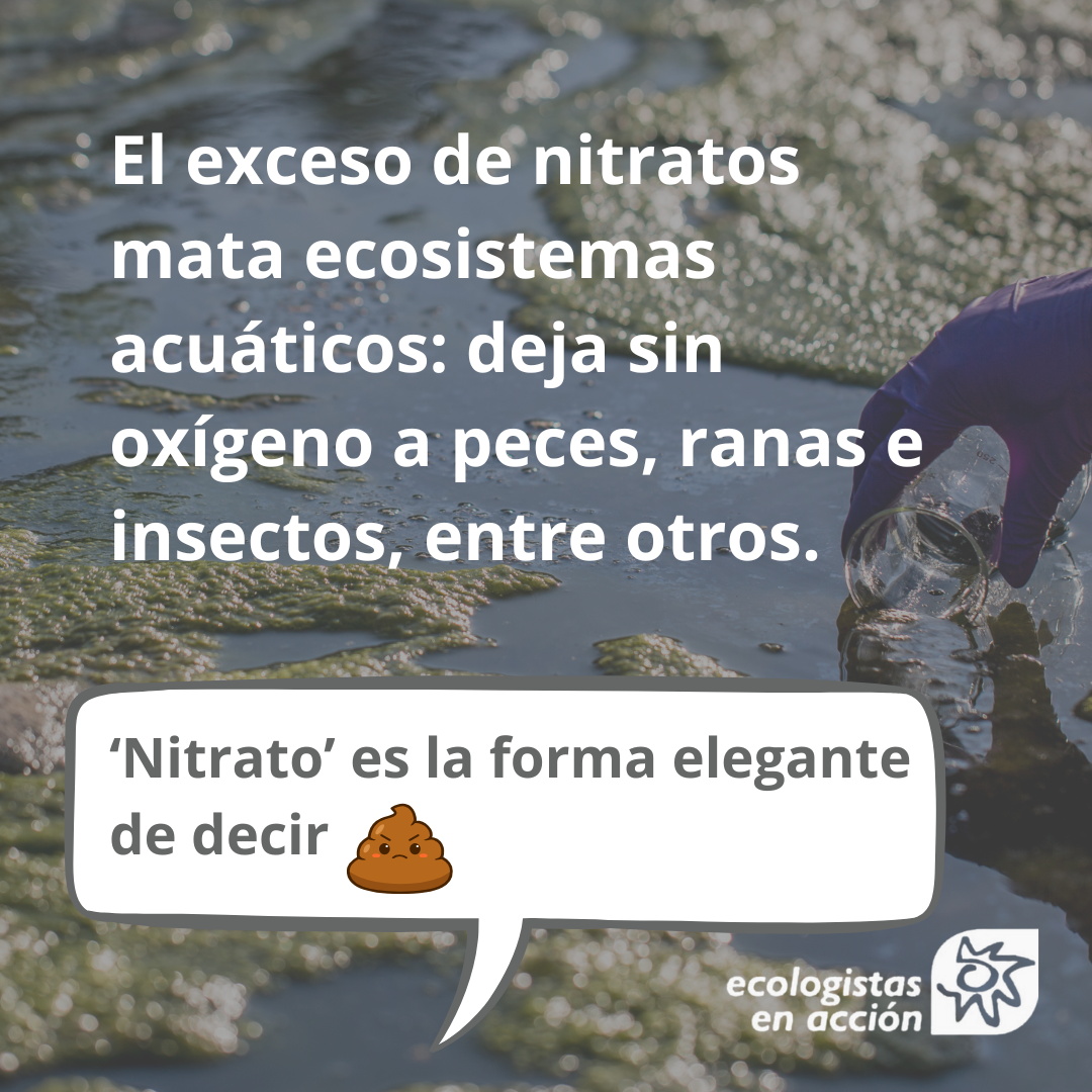 bebiendo mierda