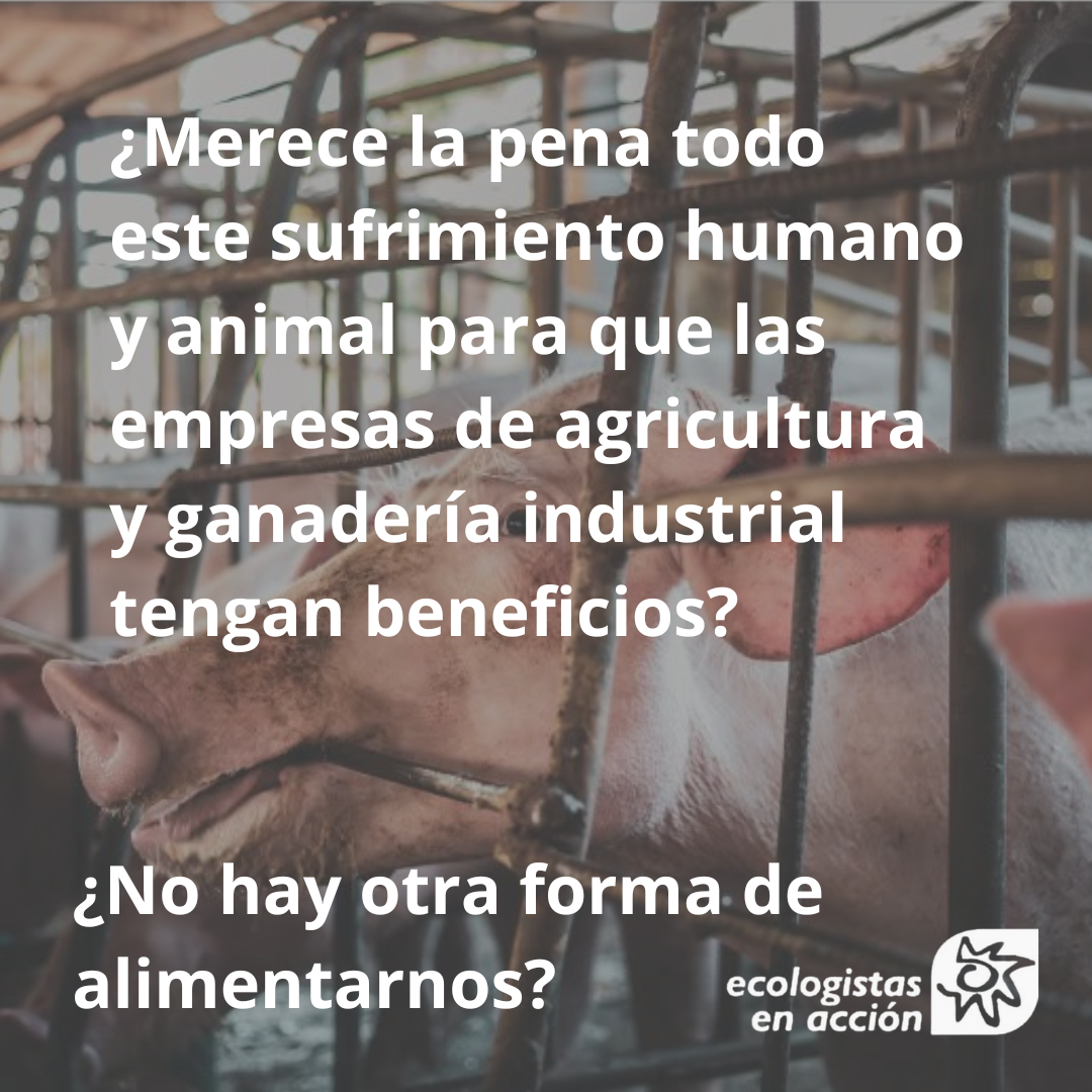 bebiendo mierda