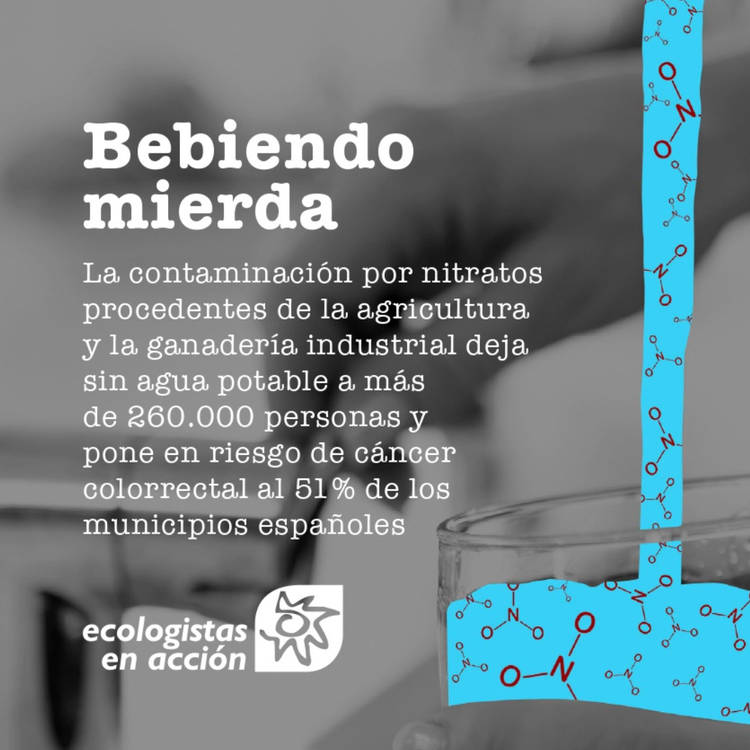 bebiendo mierda
