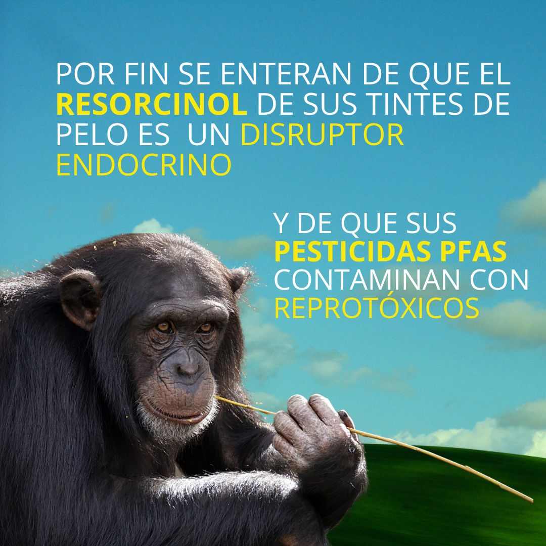 Recurso 1illes confirmado