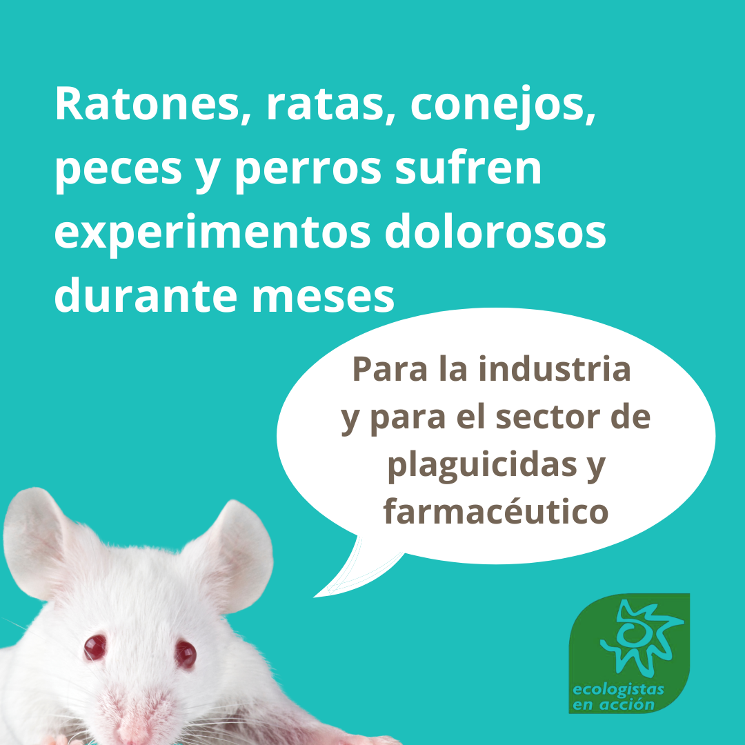 animales