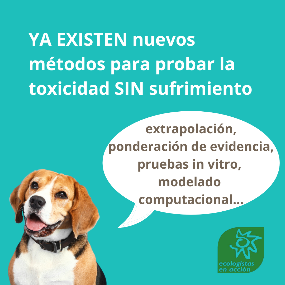 animales