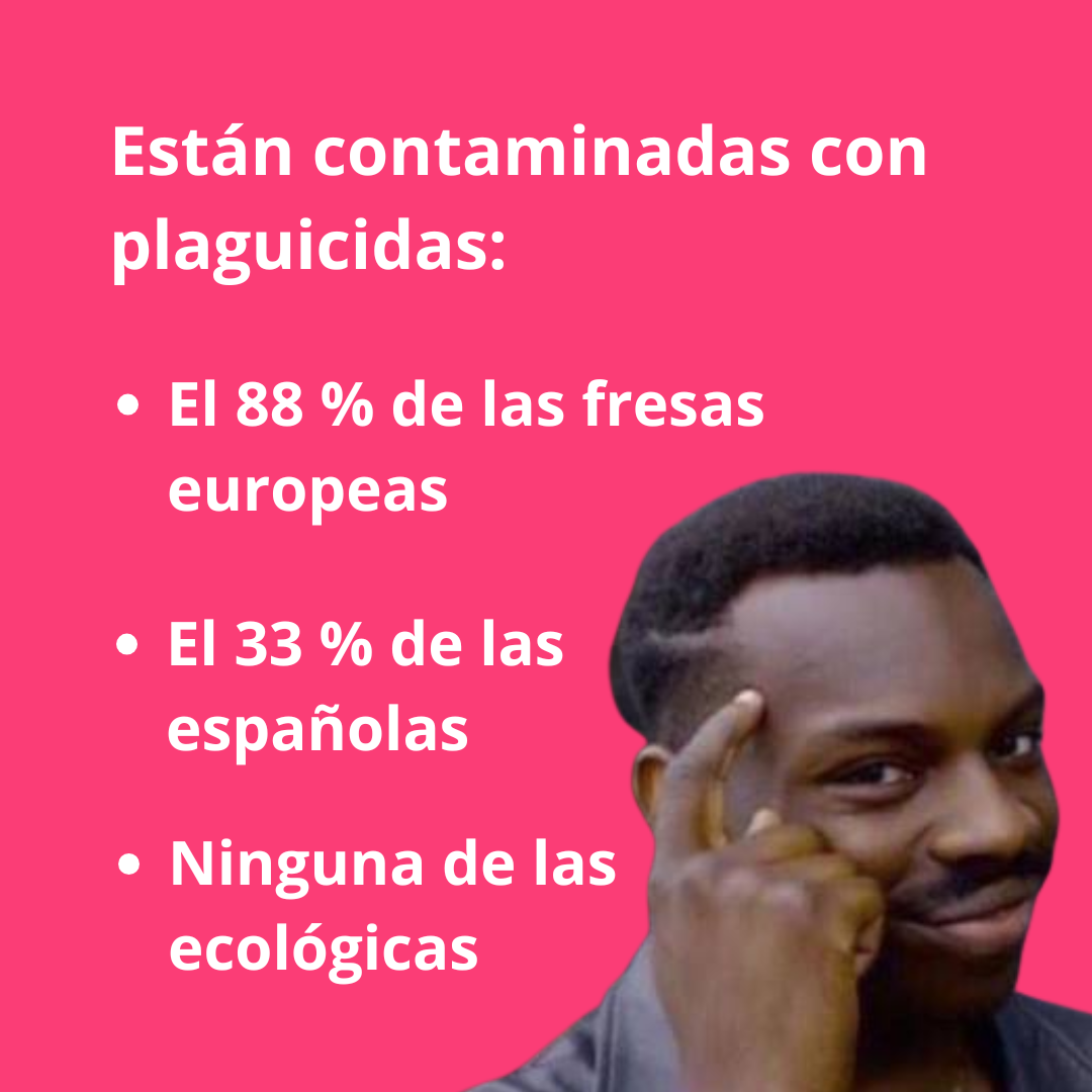 fresas