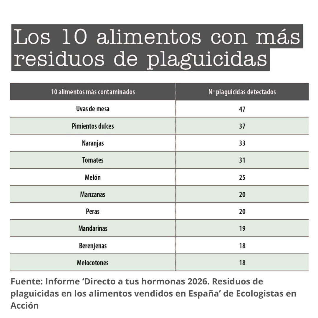 escuelas