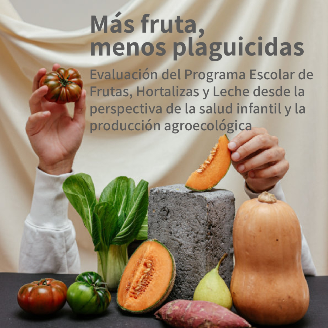 escuelas