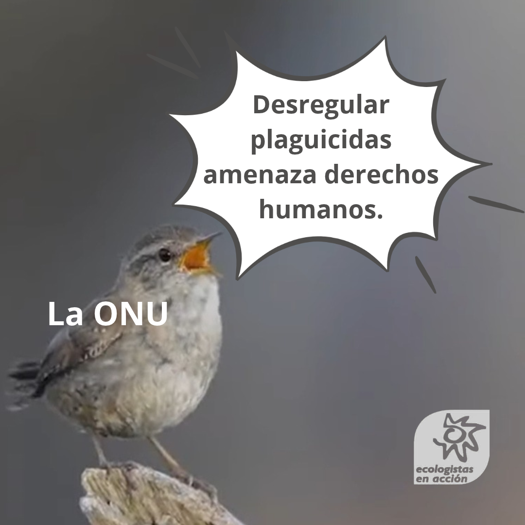 ONU